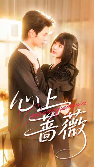 心上蔷薇（100集）每日短剧推荐