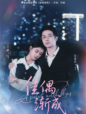 佳偶渐成(71集) 佳偶渐成(71集)短剧太好看