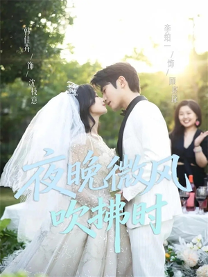 夜晚微风吹拂时（61集）短剧追不停