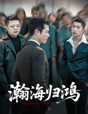 瀚海归鸿(74集) 瀚海归鸿(74集)好看上头短剧