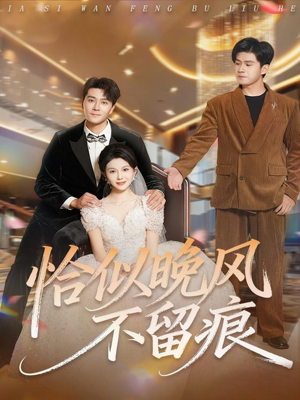 恰似晚风不留痕（61集）女主谁演的