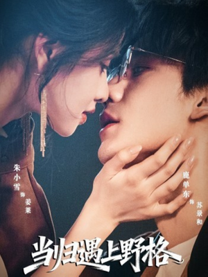 当归遇上野格(66集) 当归遇上野格(66集)短剧太好看了吧