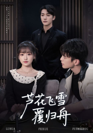 芦花飞雪覆归舟(77集) 芦花飞雪覆归舟(77集)在哪里看