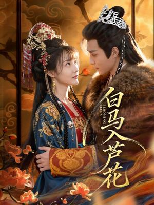 白马入芦花（59集）在哪里看