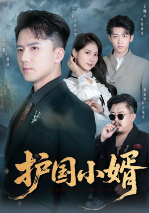 护国小婿(60集) 护国小婿(60集)完整版免费观看