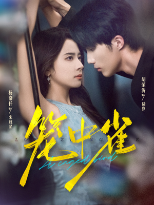 笼中雀(65集) 笼中雀(65集)无需会员轻松看