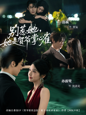 别惹她，她是贺爷掌心雀（69集）战神短剧推荐