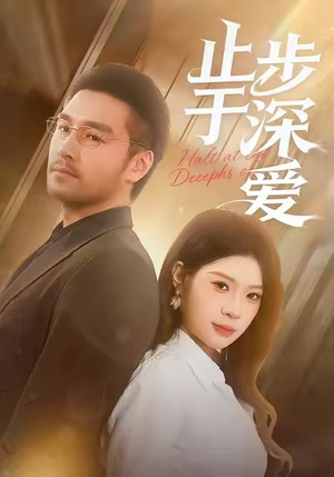 止步于深爱（45集）UC网盘在线看