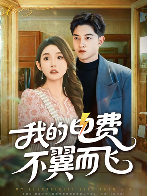 我的电费不翼而飞(60集) 我的电费不翼而飞(60集)在线看