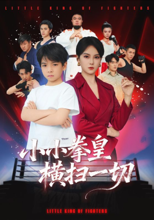 小小拳皇横扫一切(60集) 小小拳皇横扫一切(60集)在哪个平台看