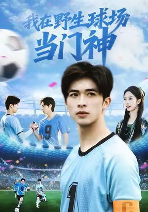 我在野生球场当门神(31集) 我在野生球场当门神(31集)短剧全集免费