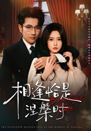 相逢恰是涅槃时（63集）女频短剧推荐
