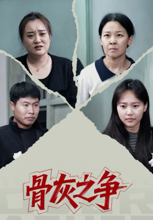 骨灰之争（30集）热播短剧排行榜