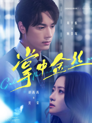 长姐她竟是隐藏大佬（60集）热门短剧抢先