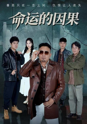 命运的因果（60集）好看短剧看不停