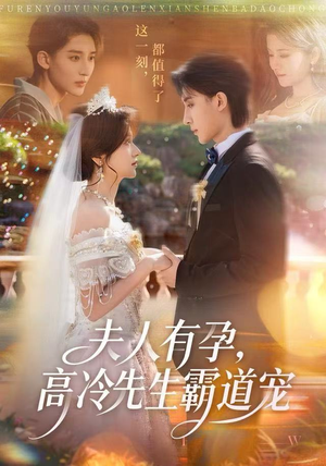 夫人有孕，高冷先生霸道宠（60集）在线播放