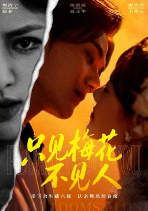 只见梅花不见人(63集) 只见梅花不见人(63集)短剧全集抢先看