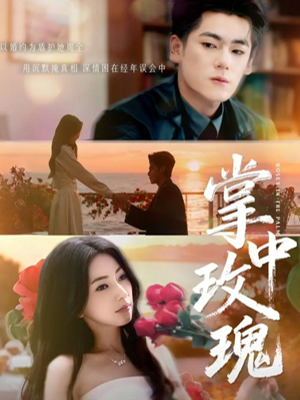 掌中玫瑰（60集）一起看短剧