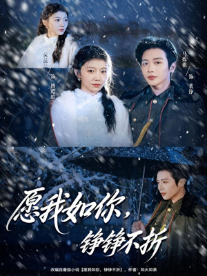 愿我如你，铮铮不折（63集）迅雷网盘观看