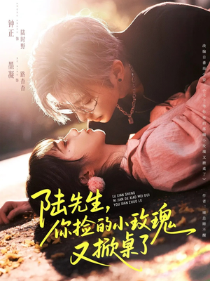 陆先生，你捡的小玫瑰又掀桌了（74集）免费看短剧全集