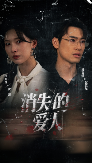 消失的爱人（56集）评价怎么样