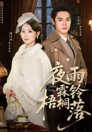 夜雨霖铃梧桐落（51集）完整版