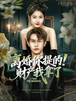 离婚你提的！财产我拿了（63集）热门短剧推广