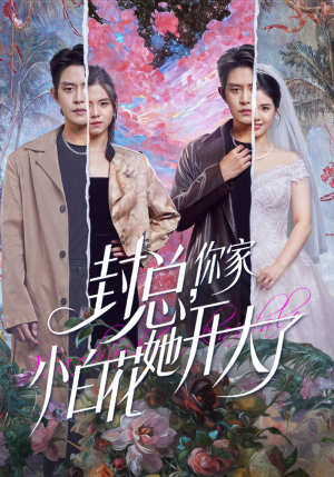 封总，你家小白花她开大了（60集）每天短剧分享