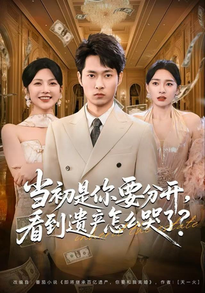 当初是你要分开，看到遗产怎么哭了？（70集）一口气追完全集