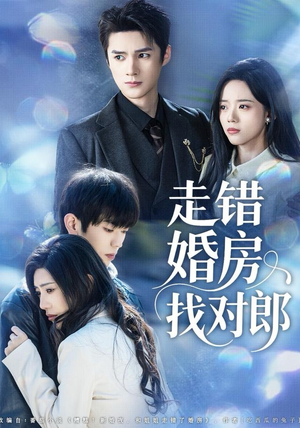 走错婚房找对郎(50集) 走错婚房找对郎(50集)贝贝短剧分享