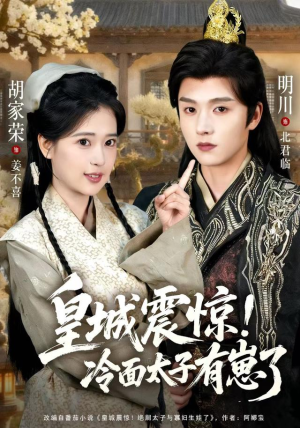 皇城震惊冷面太子有崽了（105集）全剧看到大结局