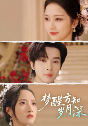 梦醒时你在我身侧（80集）看到大结局
