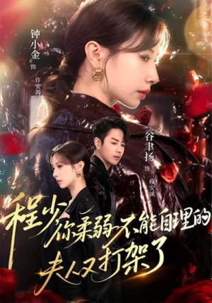 程少你柔弱不能自理的夫人又打架了（60集）每天短剧分享