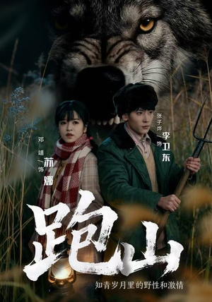 跑山：知青岁月里的野性和激情（83集）免费看短剧全集