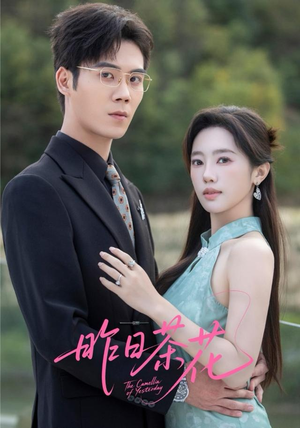 昨日茶花(56集) 昨日茶花(56集)全集一次看完