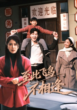 至此飞鸟不相逢（70集）短剧越看越精彩