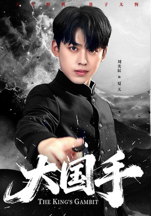 大国手（76集）追短剧关注我