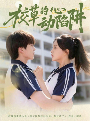 校草的心动陷阱（60集）免费看短剧全集