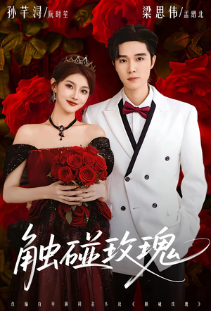 触碰玫瑰（80集）大结局完美收官