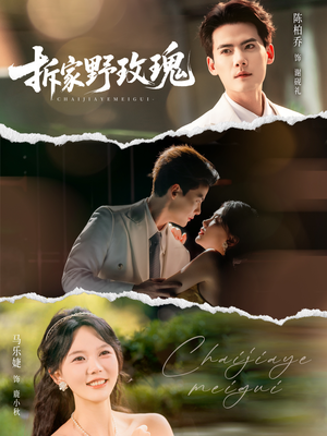 拆家野玫瑰(80集) 拆家野玫瑰(80集)在线看免费版