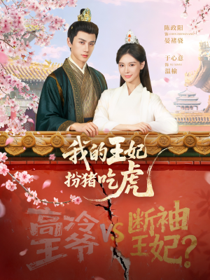 我的王妃扮猪吃虎（79集）夸克网盘在线看