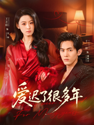 爱迟了很多年（73集）热门短剧免费看