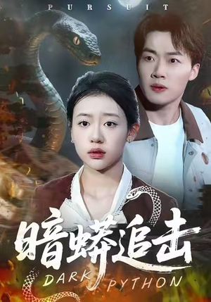 暗蟒追击（35集）火热短剧抢先看