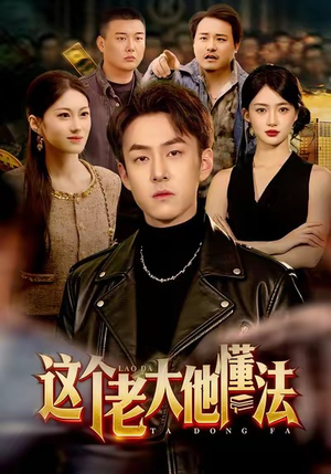 这个老大他懂法（100集）热播短剧推荐