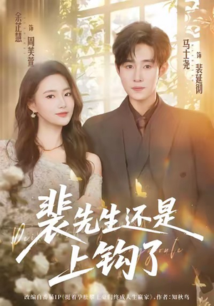 裴先生还是上钩了（62集）热门短剧大全