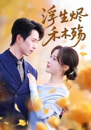 浮生烬禾木殇（70集）好看吗