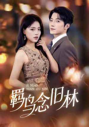 羁鸟念旧林（60集）短剧全集完整
