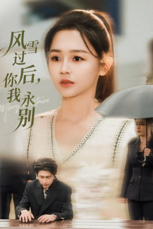 风雪过后你我永别(51集) 风雪过后你我永别(51集)短剧在线更新