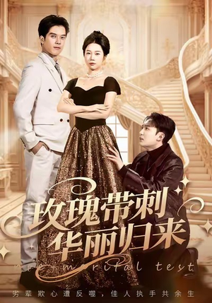 婚前测试他不配（83集）在线看完整版