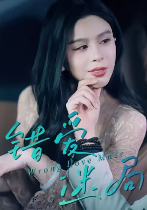 错爱迷局(30集) 错爱迷局(30集)评价怎么样